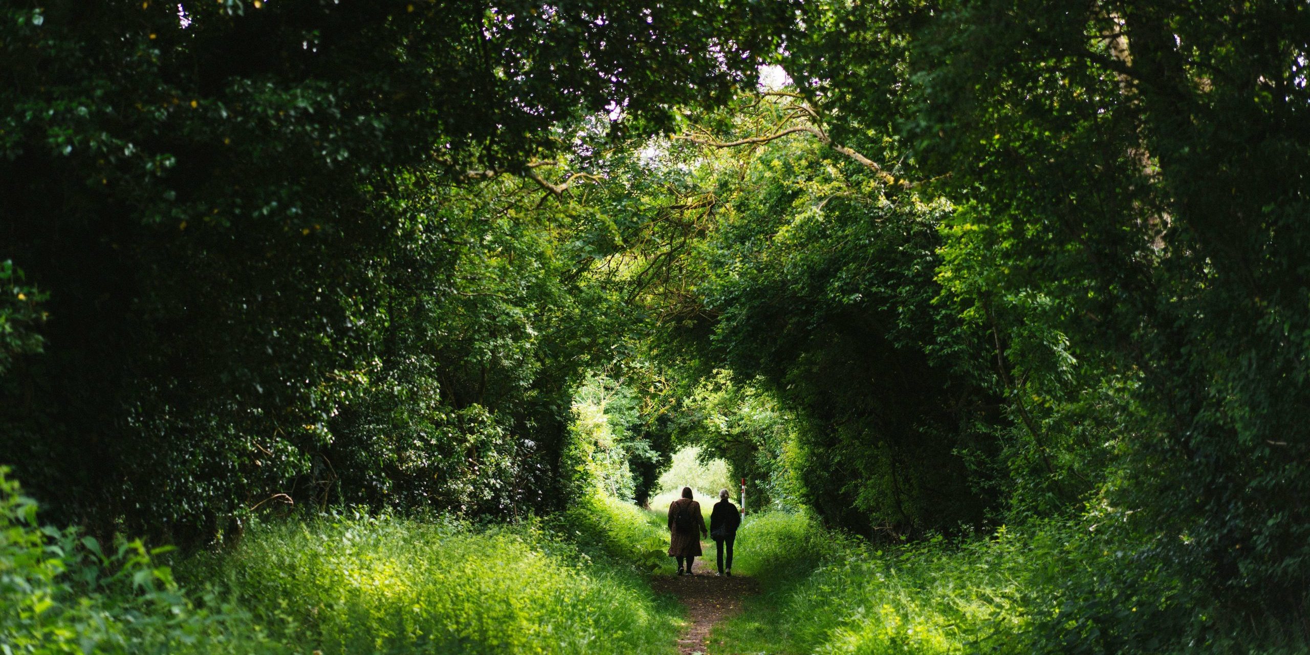 ERP for blood and needle phobia in Denver